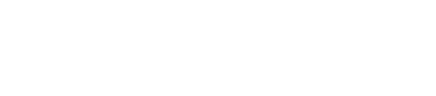 cyberenginex logo
